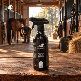 Hippika Płyn dziegciowy w sprayu do strzałek konia 500 ml
